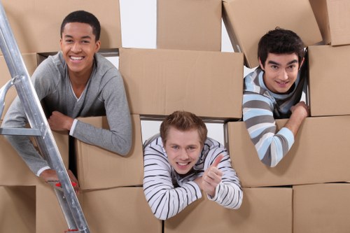 Experienced movers handling fragile items